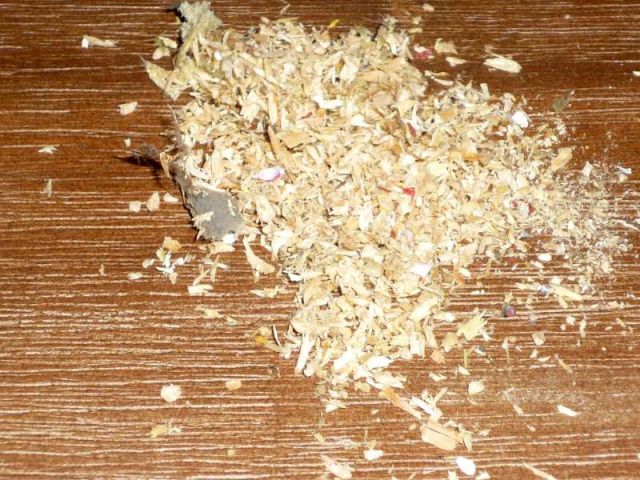 Bilderg&auml;nzung zu Forumsbeitrag: Wer frisst meine Holzbalkendecke?