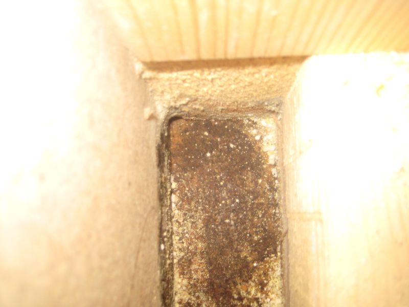 BAU.DE / BAU-Forum: 1. Bild zu Frage "Hallo, wir haben ein ziemliches Schimmel..." im BAU-Forum "Holzschutz, Holzschäden, Holzsanierung" BAU.DE / BAU-Forum: 1. Bild zu Frage "Hallo, wir haben ein ziemliches Schimmel..." im BAU-Forum "Holzschutz, Holzschäden, Holzsanierung"