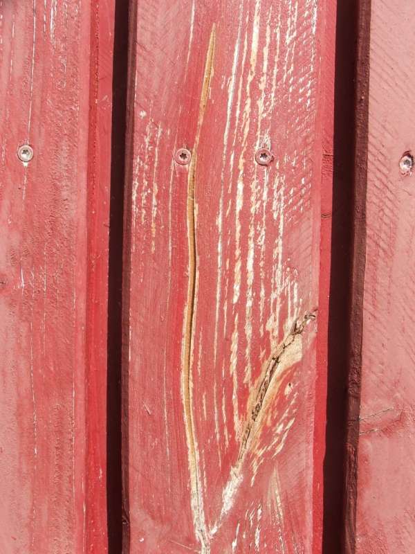 BAU.DE / BAU-Forum: 3. Bild zu Frage "Holzfassade sanieren vor Neuanstrich" im BAU-Forum "Holzschutz, Holzschäden, Holzsanierung" BAU.DE / BAU-Forum: 3. Bild zu Frage "Holzfassade sanieren vor Neuanstrich" im BAU-Forum "Holzschutz, Holzschäden, Holzsanierung"