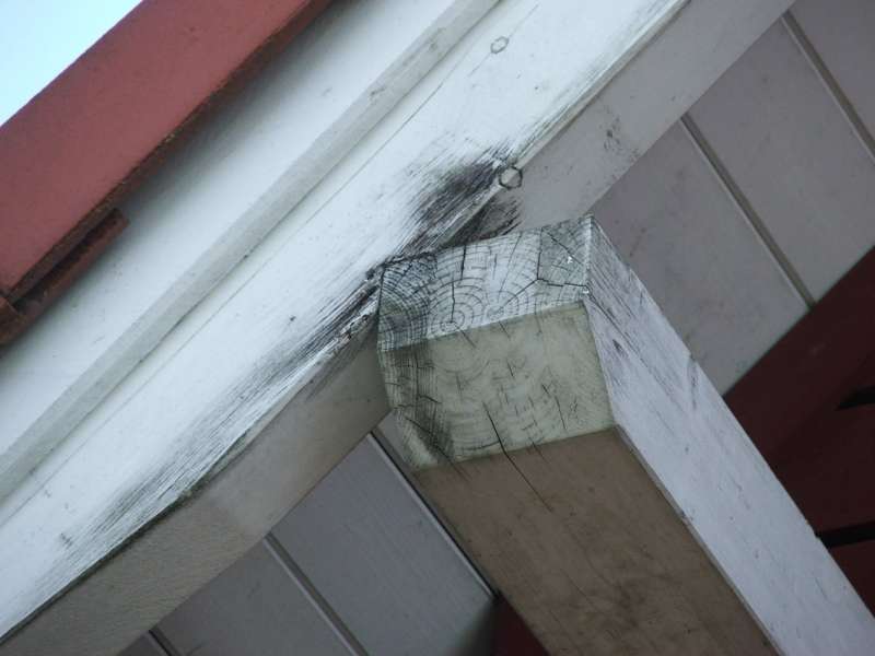 BAU.DE / BAU-Forum: 4. Bild zu Frage "Holzfassade sanieren vor Neuanstrich" im BAU-Forum "Holzschutz, Holzschäden, Holzsanierung" BAU.DE / BAU-Forum: 4. Bild zu Frage "Holzfassade sanieren vor Neuanstrich" im BAU-Forum "Holzschutz, Holzschäden, Holzsanierung"