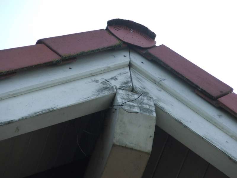 BAU.DE / BAU-Forum: 5. Bild zu Frage "Holzfassade sanieren vor Neuanstrich" im BAU-Forum "Holzschutz, Holzschäden, Holzsanierung" BAU.DE / BAU-Forum: 5. Bild zu Frage "Holzfassade sanieren vor Neuanstrich" im BAU-Forum "Holzschutz, Holzschäden, Holzsanierung"