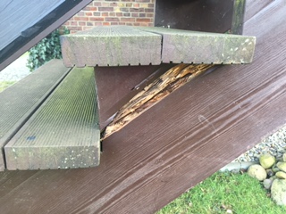 BAU.DE / BAU-Forum: 1. Bild zu Frage "Weißer Pilz oder Schwamm an Treppe Holzart Lärche mit Bankirai Stufen" im BAU-Forum "Holzschutz, Holzschäden, Holzsanierung" BAU.DE / BAU-Forum: 1. Bild zu Frage "Weißer Pilz oder Schwamm an Treppe Holzart Lärche mit Bankirai Stufen" im BAU-Forum "Holzschutz, Holzschäden, Holzsanierung"