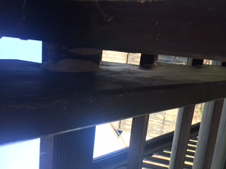 BAU.DE / BAU-Forum: 2. Bild zu Frage "Weißer Pilz oder Schwamm an Treppe Holzart Lärche mit Bankirai Stufen" im BAU-Forum "Holzschutz, Holzschäden, Holzsanierung" BAU.DE / BAU-Forum: 2. Bild zu Frage "Weißer Pilz oder Schwamm an Treppe Holzart Lärche mit Bankirai Stufen" im BAU-Forum "Holzschutz, Holzschäden, Holzsanierung"