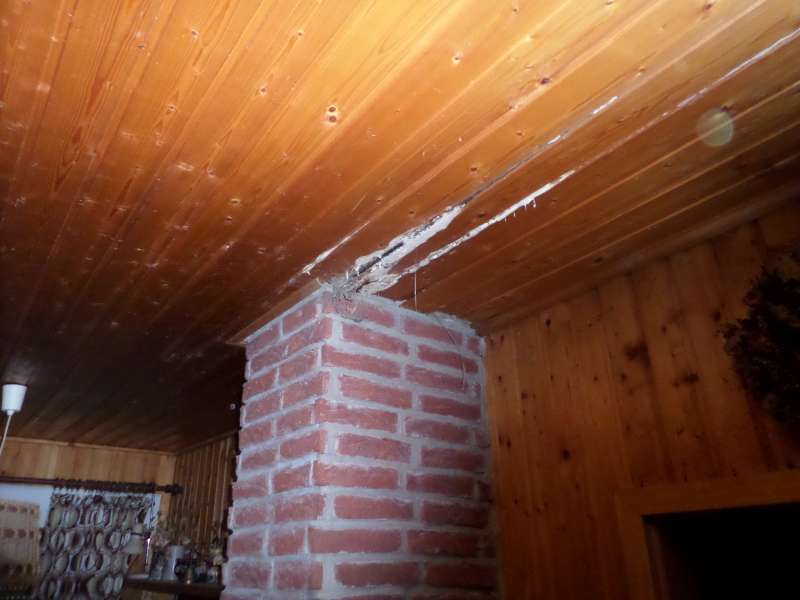 BAU.DE / BAU-Forum: 1. Bild zu Frage "Weißer Schimmel oder Schwamm" im BAU-Forum "Holzschutz, Holzschäden, Holzsanierung" BAU.DE / BAU-Forum: 1. Bild zu Frage "Weißer Schimmel oder Schwamm" im BAU-Forum "Holzschutz, Holzschäden, Holzsanierung"