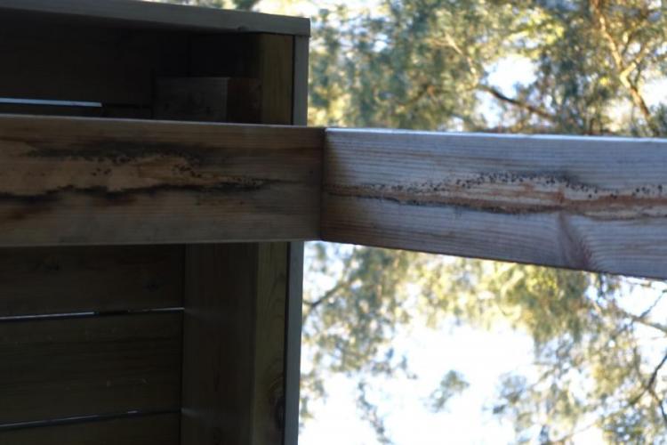 BAU.DE / BAU-Forum: 1. Bild zu Frage "Frage zu Schimmelflecken außen an neuem Haus" im BAU-Forum "Holzschutz, Holzschäden, Holzsanierung" BAU.DE / BAU-Forum: 1. Bild zu Frage "Frage zu Schimmelflecken außen an neuem Haus" im BAU-Forum "Holzschutz, Holzschäden, Holzsanierung"