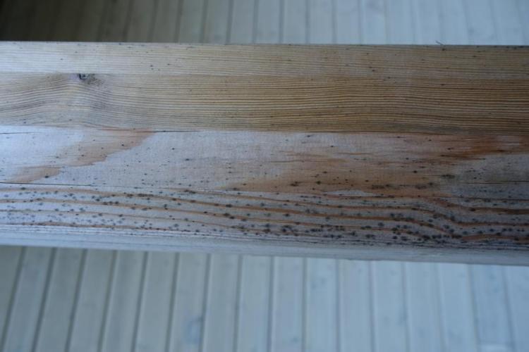 BAU.DE / BAU-Forum: 4. Bild zu Frage "Frage zu Schimmelflecken außen an neuem Haus" im BAU-Forum "Holzschutz, Holzschäden, Holzsanierung" BAU.DE / BAU-Forum: 4. Bild zu Frage "Frage zu Schimmelflecken außen an neuem Haus" im BAU-Forum "Holzschutz, Holzschäden, Holzsanierung"