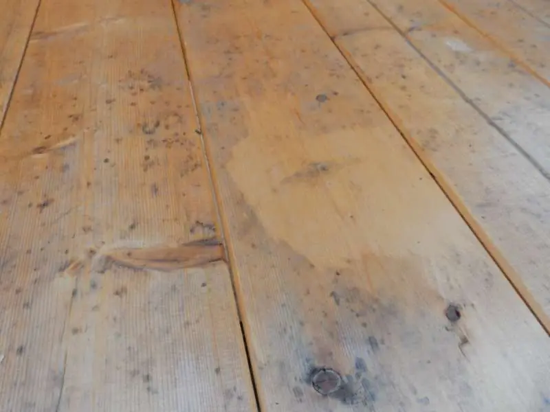 BAU.DE / BAU-Forum: 1. Bild zu Frage "Bläuebefall schon nach 3 Wochen Witterung?!" im BAU-Forum "Holzschutz, Holzschäden, Holzsanierung" BAU.DE / BAU-Forum: 1. Bild zu Frage "Bläuebefall schon nach 3 Wochen Witterung?!" im BAU-Forum "Holzschutz, Holzschäden, Holzsanierung"