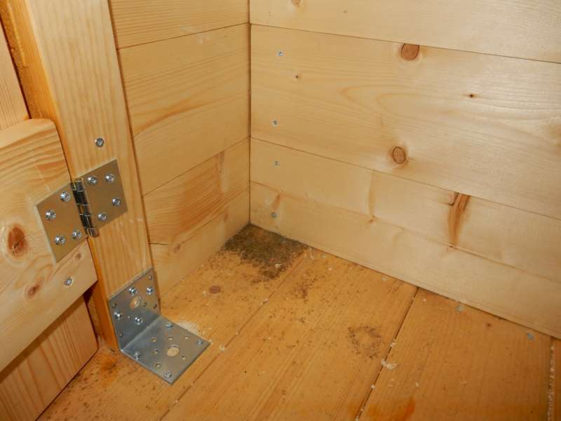 BAU.DE / BAU-Forum: 3. Bild zu Frage "Bläuebefall schon nach 3 Wochen Witterung?!" im BAU-Forum "Holzschutz, Holzschäden, Holzsanierung" BAU.DE / BAU-Forum: 3. Bild zu Frage "Bläuebefall schon nach 3 Wochen Witterung?!" im BAU-Forum "Holzschutz, Holzschäden, Holzsanierung"