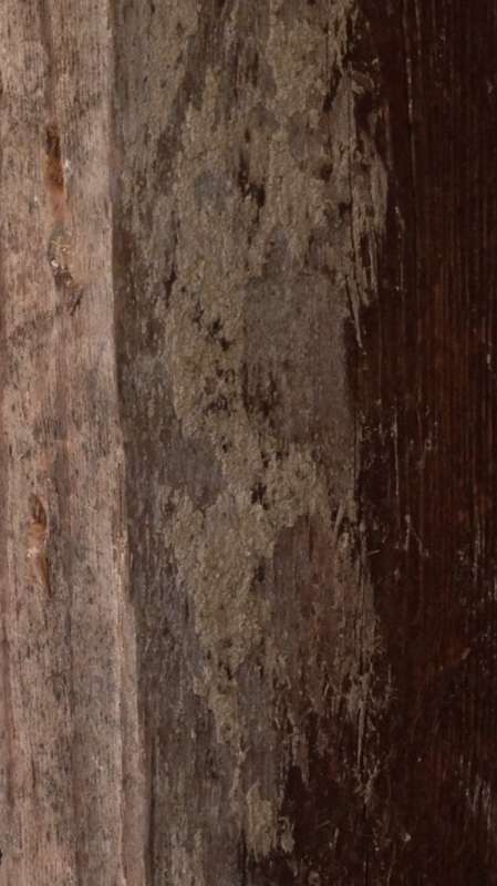 BAU.DE / BAU-Forum: 1. Bild zu Frage "Kennt sich jemand mit Holzschutzgiften aus? (DDT, Lindan, PCP usw.)" im BAU-Forum "Holzschutz, Holzschäden, Holzsanierung" BAU.DE / BAU-Forum: 1. Bild zu Frage "Kennt sich jemand mit Holzschutzgiften aus? (DDT, Lindan, PCP usw.)" im BAU-Forum "Holzschutz, Holzschäden, Holzsanierung"