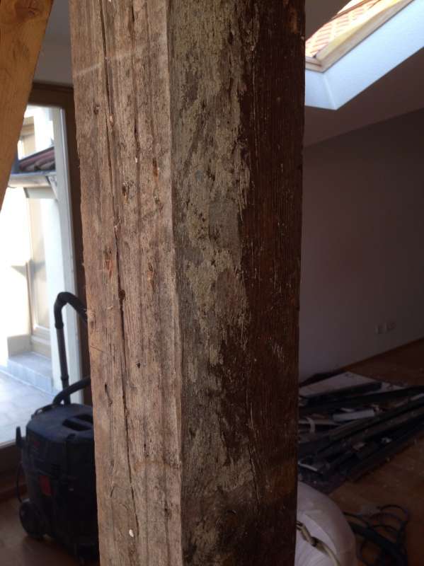 BAU.DE / BAU-Forum: 3. Bild zu Frage "Kennt sich jemand mit Holzschutzgiften aus? (DDT, Lindan, PCP usw.)" im BAU-Forum "Holzschutz, Holzschäden, Holzsanierung" BAU.DE / BAU-Forum: 3. Bild zu Frage "Kennt sich jemand mit Holzschutzgiften aus? (DDT, Lindan, PCP usw.)" im BAU-Forum "Holzschutz, Holzschäden, Holzsanierung"