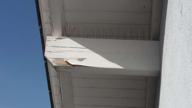 BAU.DE / BAU-Forum: 1. Bild zu Frage "Risse im Gebälk" im BAU-Forum "Holzschutz, Holzschäden, Holzsanierung" BAU.DE / BAU-Forum: 1. Bild zu Frage "Risse im Gebälk" im BAU-Forum "Holzschutz, Holzschäden, Holzsanierung"