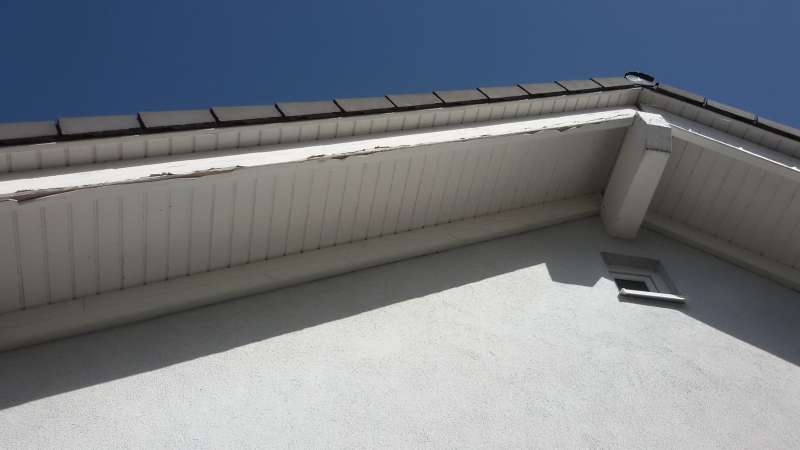 BAU.DE / BAU-Forum: 4. Bild zu Frage "Risse im Gebälk" im BAU-Forum "Holzschutz, Holzschäden, Holzsanierung" BAU.DE / BAU-Forum: 4. Bild zu Frage "Risse im Gebälk" im BAU-Forum "Holzschutz, Holzschäden, Holzsanierung"