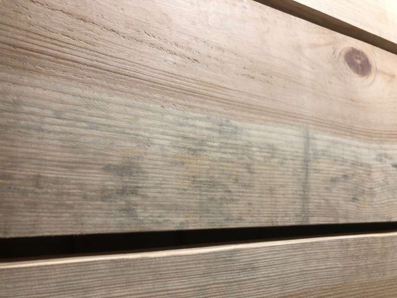 BAU.DE / BAU-Forum: 4. Bild zu Frage "Holzschimmel oder Holzgräue?" im BAU-Forum "Holzschutz, Holzschäden, Holzsanierung" BAU.DE / BAU-Forum: 4. Bild zu Frage "Holzschimmel oder Holzgräue?" im BAU-Forum "Holzschutz, Holzschäden, Holzsanierung"