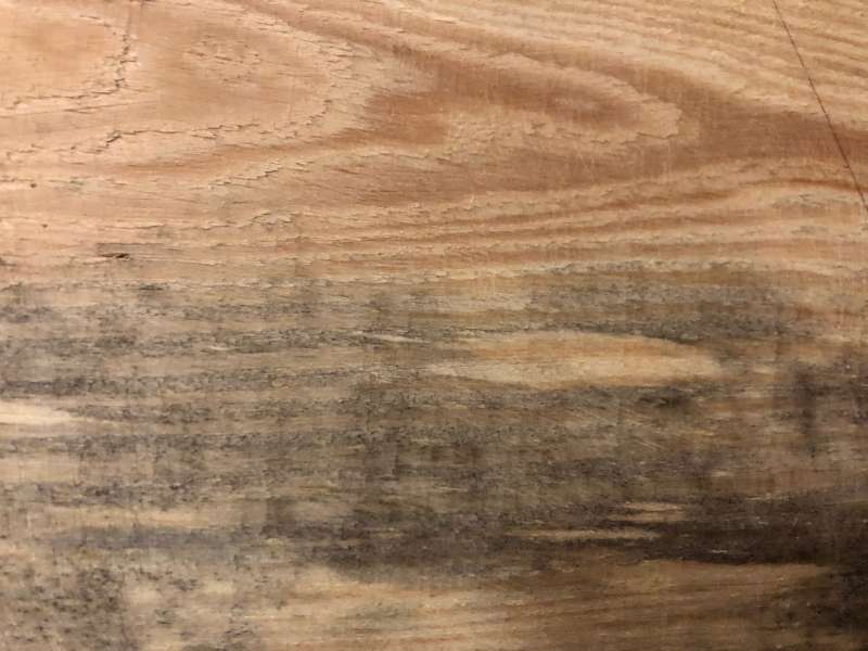 BAU.DE / BAU-Forum: 5. Bild zu Frage "Holzschimmel oder Holzgräue?" im BAU-Forum "Holzschutz, Holzschäden, Holzsanierung" BAU.DE / BAU-Forum: 5. Bild zu Frage "Holzschimmel oder Holzgräue?" im BAU-Forum "Holzschutz, Holzschäden, Holzsanierung"