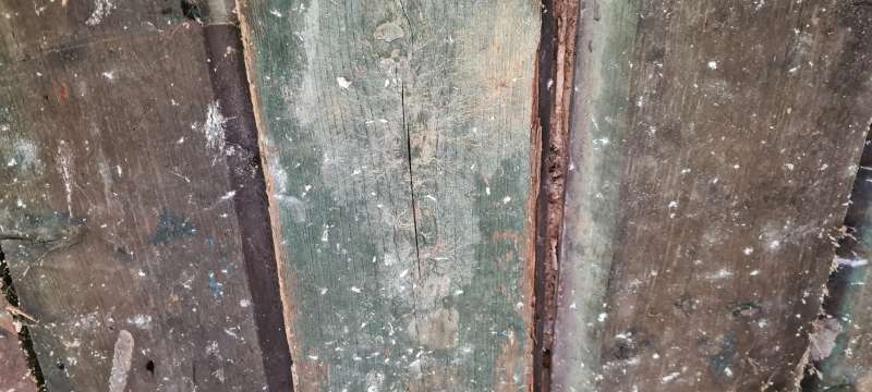 BAU.DE / BAU-Forum: 1. Bild zu Frage "Weißer Porenschwamm oder doch Hausschwamm?" im BAU-Forum "Holzschutz, Holzschäden, Holzsanierung" BAU.DE / BAU-Forum: 1. Bild zu Frage "Weißer Porenschwamm oder doch Hausschwamm?" im BAU-Forum "Holzschutz, Holzschäden, Holzsanierung"