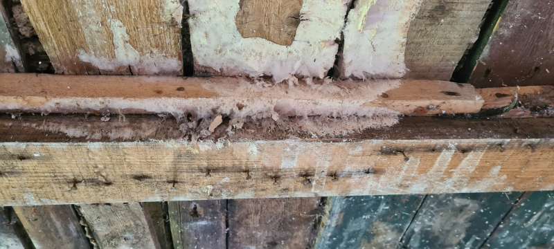 BAU.DE / BAU-Forum: 2. Bild zu Frage "Weißer Porenschwamm oder doch Hausschwamm?" im BAU-Forum "Holzschutz, Holzschäden, Holzsanierung" BAU.DE / BAU-Forum: 2. Bild zu Frage "Weißer Porenschwamm oder doch Hausschwamm?" im BAU-Forum "Holzschutz, Holzschäden, Holzsanierung"