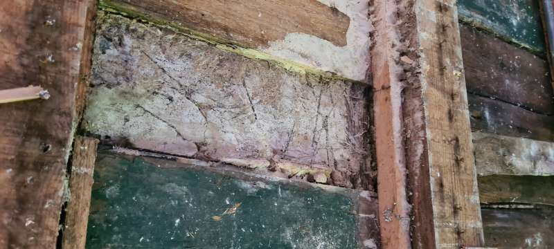 BAU.DE / BAU-Forum: 4. Bild zu Frage "Weißer Porenschwamm oder doch Hausschwamm?" im BAU-Forum "Holzschutz, Holzschäden, Holzsanierung" BAU.DE / BAU-Forum: 4. Bild zu Frage "Weißer Porenschwamm oder doch Hausschwamm?" im BAU-Forum "Holzschutz, Holzschäden, Holzsanierung"