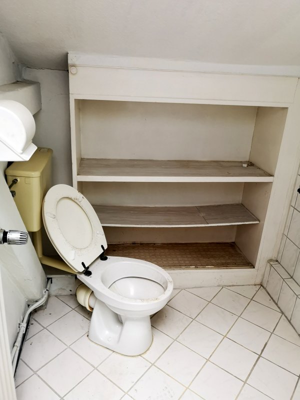 BAU.DE / BAU-Forum: 3. Bild zu Antwort "Risiko Hausschwamm" auf die Frage "Hausschwamm erkennen: Risiken, Sanierungskosten & Gutachter für Altbau?" im BAU-Forum "Holzschutz, Holzschäden, Holzsanierung" BAU.DE / BAU-Forum: 3. Bild zu Antwort "Risiko Hausschwamm" auf die Frage "Hausschwamm erkennen: Risiken, Sanierungskosten & Gutachter für Altbau?" im BAU-Forum "Holzschutz, Holzschäden, Holzsanierung"