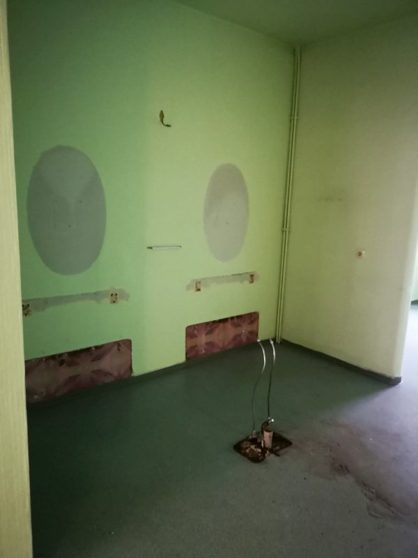 BAU.DE / BAU-Forum: 4. Bild zu Antwort "Risiko Hausschwamm" auf die Frage "Hausschwamm erkennen: Risiken, Sanierungskosten & Gutachter für Altbau?" im BAU-Forum "Holzschutz, Holzschäden, Holzsanierung" BAU.DE / BAU-Forum: 4. Bild zu Antwort "Risiko Hausschwamm" auf die Frage "Hausschwamm erkennen: Risiken, Sanierungskosten & Gutachter für Altbau?" im BAU-Forum "Holzschutz, Holzschäden, Holzsanierung"