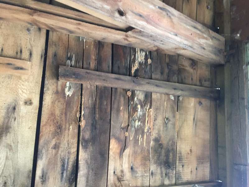 BAU.DE / BAU-Forum: 1. Bild zu Frage "Hausschwamm, Porenschwamm etc.?" im BAU-Forum "Holzschutz, Holzschäden, Holzsanierung" BAU.DE / BAU-Forum: 1. Bild zu Frage "Hausschwamm, Porenschwamm etc.?" im BAU-Forum "Holzschutz, Holzschäden, Holzsanierung"