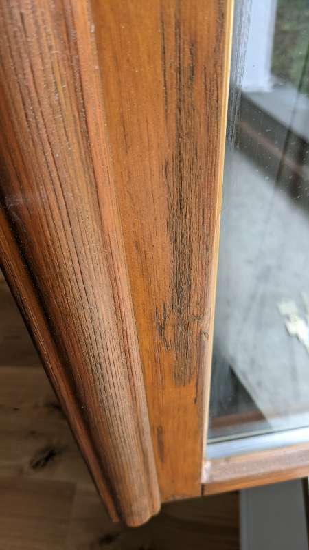 BAU.DE / BAU-Forum: 1. Bild zu Frage "Holzfenster Sanierung: Grobporiges Holz, Anstrich – Ist die Ausführung in Ordnung?" im BAU-Forum "Holzschutz, Holzschäden, Holzsanierung" BAU.DE / BAU-Forum: 1. Bild zu Frage "Holzfenster Sanierung: Grobporiges Holz, Anstrich – Ist die Ausführung in Ordnung?" im BAU-Forum "Holzschutz, Holzschäden, Holzsanierung"