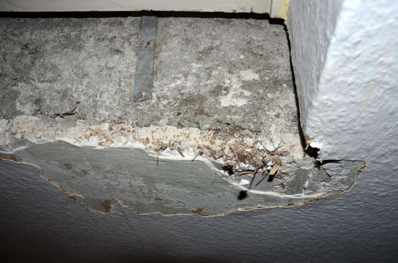 Bild zum BAU-Forumsbeitrag: Wandplatten aus Holz-Mineralstoffmischung aus den sechziger Jahre identifizieren im Forum Innenwände
