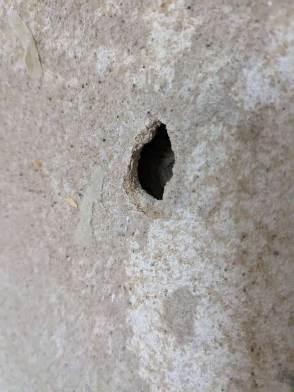 BAU.DE / BAU-Forum: 2. Bild zu Frage "Putzwand als Innenwand? Ist das möglich" im Forum "Innenwände" BAU.DE / BAU-Forum: 2. Bild zu Frage "Putzwand als Innenwand? Ist das möglich" im Forum "Innenwände"