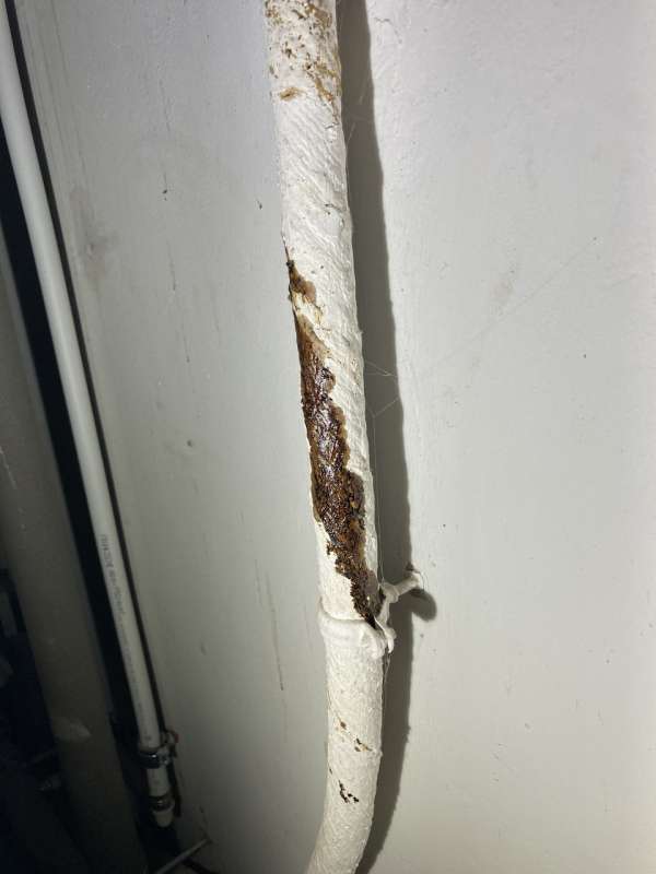 BAU.DE / BAU-Forum: 2. Bild zu Frage "Strom altes Hausanschlusskabel ölig" im BAU-Forum "Installation: Elektro, Gas, Wasser, Fernwärme etc." BAU.DE / BAU-Forum: 2. Bild zu Frage "Strom altes Hausanschlusskabel ölig" im BAU-Forum "Installation: Elektro, Gas, Wasser, Fernwärme etc."