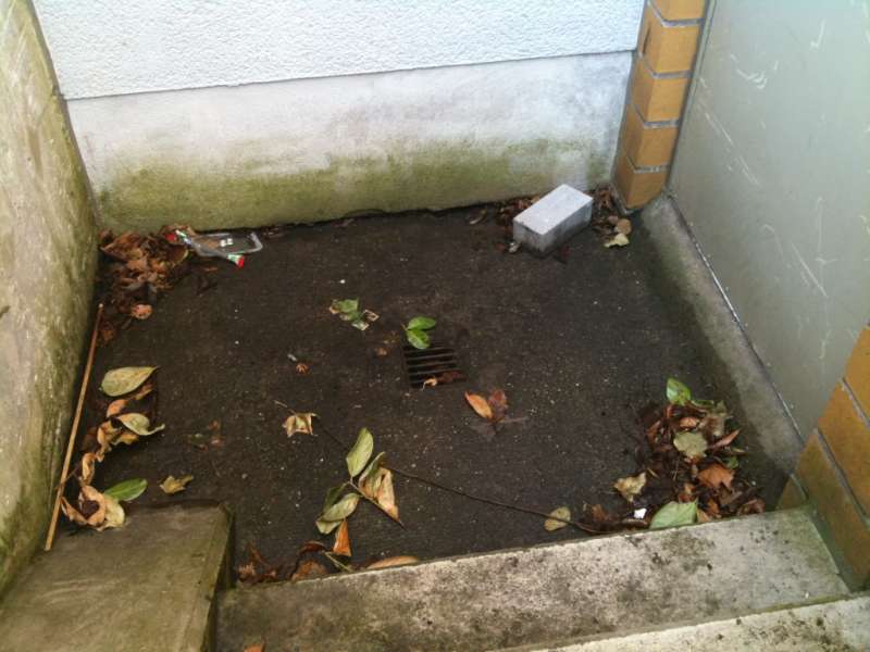 BAU.DE / BAU-Forum: 3. Bild zu Frage "Feuchtigkeit Kelleraußentreppe: Ursachen, Folgen & Sanierungskosten?" im BAU-Forum "Keller" BAU.DE / BAU-Forum: 3. Bild zu Frage "Feuchtigkeit Kelleraußentreppe: Ursachen, Folgen & Sanierungskosten?" im BAU-Forum "Keller"
