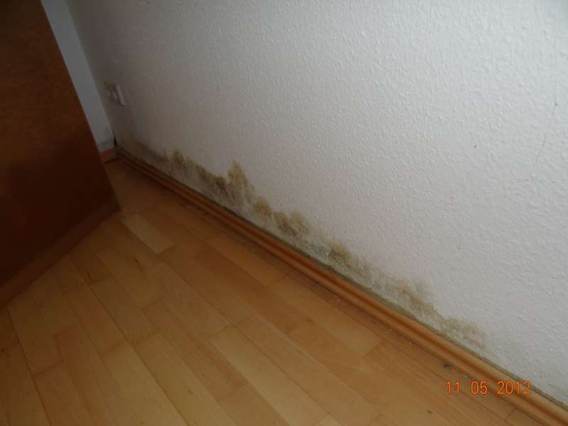BAU.DE / BAU-Forum: 3. Bild zu Frage "Feuchtigkeit in EG-Wohnung ohne Keller: Ursachen, Risiken & Sanierung von WU-Bodenplatten?" im BAU-Forum "Keller" BAU.DE / BAU-Forum: 3. Bild zu Frage "Feuchtigkeit in EG-Wohnung ohne Keller: Ursachen, Risiken & Sanierung von WU-Bodenplatten?" im BAU-Forum "Keller"