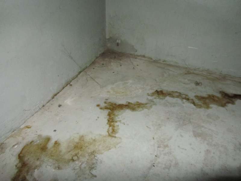 BAU.DE / BAU-Forum: 2. Bild zu Frage "Feuchte Kellerwand erkennen: Ursachen (aufsteigende Feuchtigkeit, undichtes Mauerwerk) & Sanierung?" im BAU-Forum "Keller" BAU.DE / BAU-Forum: 2. Bild zu Frage "Feuchte Kellerwand erkennen: Ursachen (aufsteigende Feuchtigkeit, undichtes Mauerwerk) & Sanierung?" im BAU-Forum "Keller"