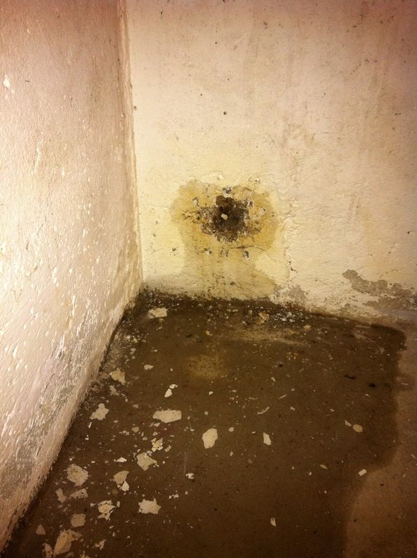 BAU.DE / BAU-Forum: 1. Bild zu Frage "Holz in Kellerwand eingegossen: Ursachen, Risiken & Sanierungsmöglichkeiten?" im BAU-Forum "Keller" BAU.DE / BAU-Forum: 1. Bild zu Frage "Holz in Kellerwand eingegossen: Ursachen, Risiken & Sanierungsmöglichkeiten?" im BAU-Forum "Keller"