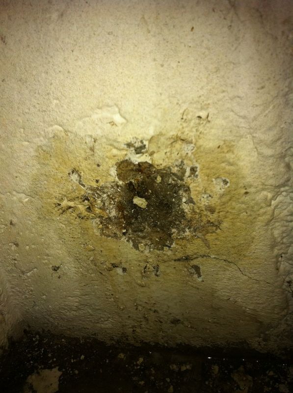 BAU.DE / BAU-Forum: 2. Bild zu Frage "Holz in Kellerwand eingegossen: Ursachen, Risiken & Sanierungsmöglichkeiten?" im BAU-Forum "Keller" BAU.DE / BAU-Forum: 2. Bild zu Frage "Holz in Kellerwand eingegossen: Ursachen, Risiken & Sanierungsmöglichkeiten?" im BAU-Forum "Keller"