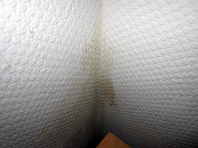 BAU.DE / BAU-Forum: 1. Bild zu Frage "Feuchte Wand im Keller: Ursachen, Leckortung & Sanierung im Reihenhaus?" im BAU-Forum "Keller" BAU.DE / BAU-Forum: 1. Bild zu Frage "Feuchte Wand im Keller: Ursachen, Leckortung & Sanierung im Reihenhaus?" im BAU-Forum "Keller"