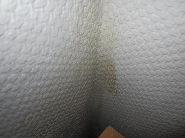 BAU.DE / BAU-Forum: 3. Bild zu Frage "Feuchte Wand im Keller: Ursachen, Leckortung & Sanierung im Reihenhaus?" im BAU-Forum "Keller" BAU.DE / BAU-Forum: 3. Bild zu Frage "Feuchte Wand im Keller: Ursachen, Leckortung & Sanierung im Reihenhaus?" im BAU-Forum "Keller"