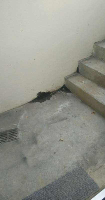 Bild zum BAU-Forumsbeitrag: Kellertreppe Feuchtigkeit bei Regen im Forum Keller