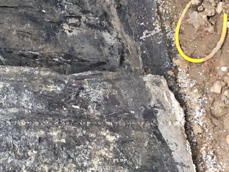BAU.DE / BAU-Forum: 5. Bild zu Antwort "Hohlkehle Sanierung: Fotos zur Schadensanalyse" auf die Frage "Fehlende Hohlkehle ausgleichen: Methoden, Materialien & Kosten im Überblick" im BAU-Forum "Keller" BAU.DE / BAU-Forum: 5. Bild zu Antwort "Hohlkehle Sanierung: Fotos zur Schadensanalyse" auf die Frage "Fehlende Hohlkehle ausgleichen: Methoden, Materialien & Kosten im Überblick" im BAU-Forum "Keller"
