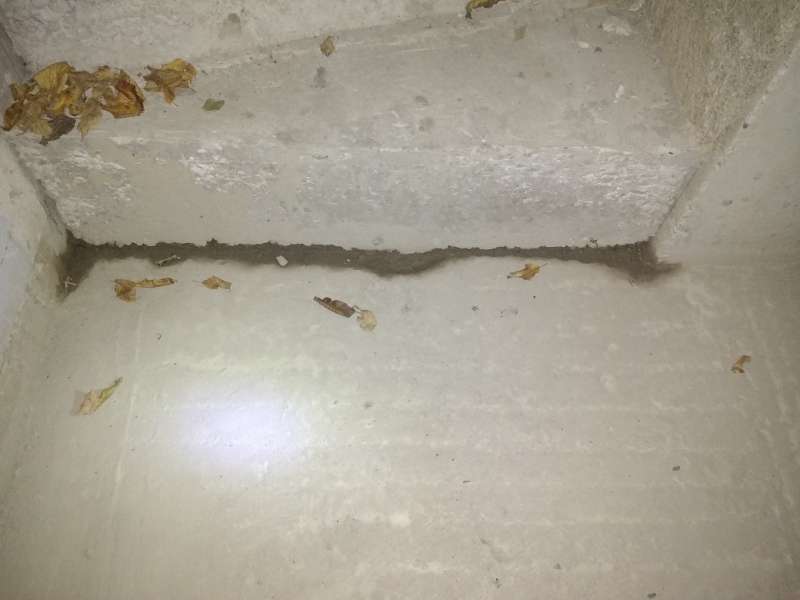 BAU.DE / BAU-Forum: 2. Bild zu Frage "Wasser im Keller durch Mörtel? Ursachen, Risiken & Sanierung der Kellertreppe" im BAU-Forum "Keller" BAU.DE / BAU-Forum: 2. Bild zu Frage "Wasser im Keller durch Mörtel? Ursachen, Risiken & Sanierung der Kellertreppe" im BAU-Forum "Keller"