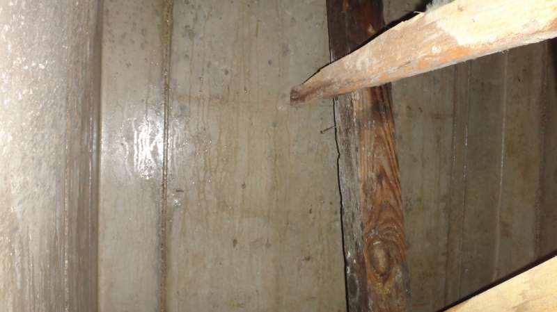 BAU.DE / BAU-Forum: 1. Bild zu Antwort "Ursachenforschung: Wasser im Keller – Wanddurchbruch identifiziert!" auf die Frage "Wasser im Keller durch Mörtel? Ursachen, Risiken & Sanierung der Kellertreppe" im BAU-Forum "Keller" BAU.DE / BAU-Forum: 1. Bild zu Antwort "Ursachenforschung: Wasser im Keller – Wanddurchbruch identifiziert!" auf die Frage "Wasser im Keller durch Mörtel? Ursachen, Risiken & Sanierung der Kellertreppe" im BAU-Forum "Keller"
