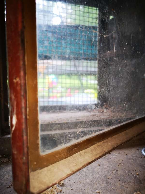 BAU.DE / BAU-Forum: 1. Bild zu Frage "Alte Kellerfenster mit Metallrahmen, welcher Kleber/Dichtung?" im BAU-Forum "Keller" BAU.DE / BAU-Forum: 1. Bild zu Frage "Alte Kellerfenster mit Metallrahmen, welcher Kleber/Dichtung?" im BAU-Forum "Keller"