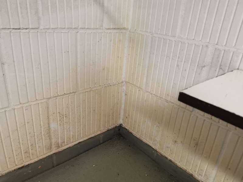 BAU.DE / BAU-Forum: 1. Bild zu Frage "Feuchtigkeit?" im BAU-Forum "Keller" BAU.DE / BAU-Forum: 1. Bild zu Frage "Feuchtigkeit?" im BAU-Forum "Keller"