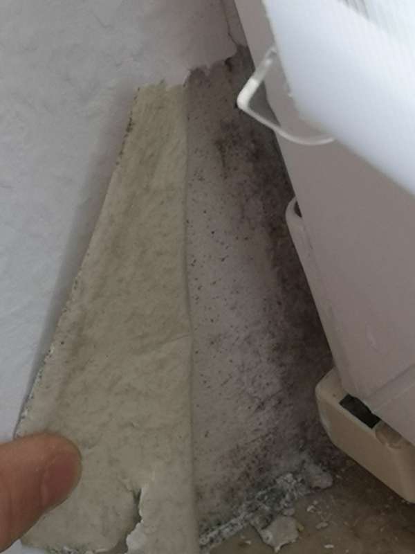 BAU.DE / BAU-Forum: 4. Bild zu Frage "Feuchtigkeit?" im BAU-Forum "Keller" BAU.DE / BAU-Forum: 4. Bild zu Frage "Feuchtigkeit?" im BAU-Forum "Keller"