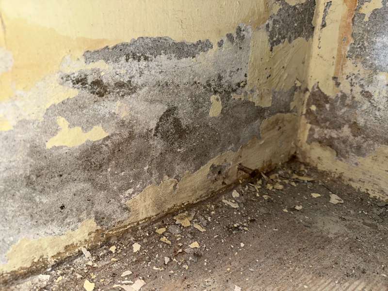 BAU.DE / BAU-Forum: 1. Bild zu Frage "Salzausblühungen im Keller: Ursachen, Gefahren & Sanierungskosten im Altbau?" im BAU-Forum "Keller" BAU.DE / BAU-Forum: 1. Bild zu Frage "Salzausblühungen im Keller: Ursachen, Gefahren & Sanierungskosten im Altbau?" im BAU-Forum "Keller"