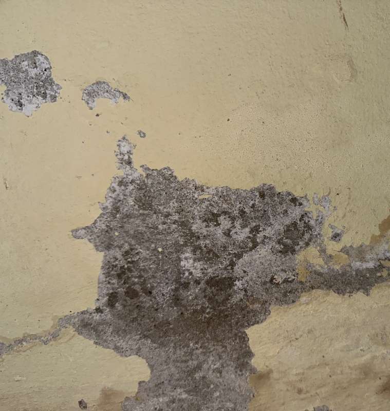 BAU.DE / BAU-Forum: 3. Bild zu Frage "Salzausblühungen im Keller: Ursachen, Gefahren & Sanierungskosten im Altbau?" im BAU-Forum "Keller" BAU.DE / BAU-Forum: 3. Bild zu Frage "Salzausblühungen im Keller: Ursachen, Gefahren & Sanierungskosten im Altbau?" im BAU-Forum "Keller"