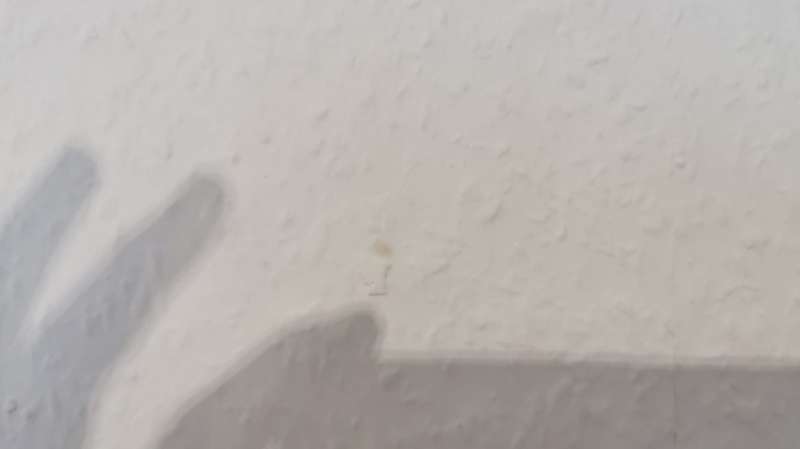 BAU.DE / BAU-Forum: 1. Bild zu Frage "Braune Flecken an der Wand: Ursachen, Risiken & Maßnahmen bei Neubau?" im BAU-Forum "Keller" BAU.DE / BAU-Forum: 1. Bild zu Frage "Braune Flecken an der Wand: Ursachen, Risiken & Maßnahmen bei Neubau?" im BAU-Forum "Keller"