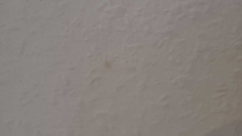 Bild zum BAU-Forumsbeitrag: Braune Flecken an der Wand im Forum Keller