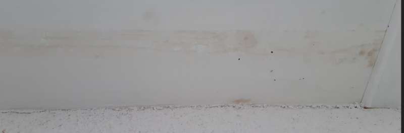 BAU.DE / BAU-Forum: 1. Bild zu Frage "Dachuntersichten verfärben sich, bitte um Hilfe bei Ursachenforschung" im BAU-Forum "Neubau" BAU.DE / BAU-Forum: 1. Bild zu Frage "Dachuntersichten verfärben sich, bitte um Hilfe bei Ursachenforschung" im BAU-Forum "Neubau"