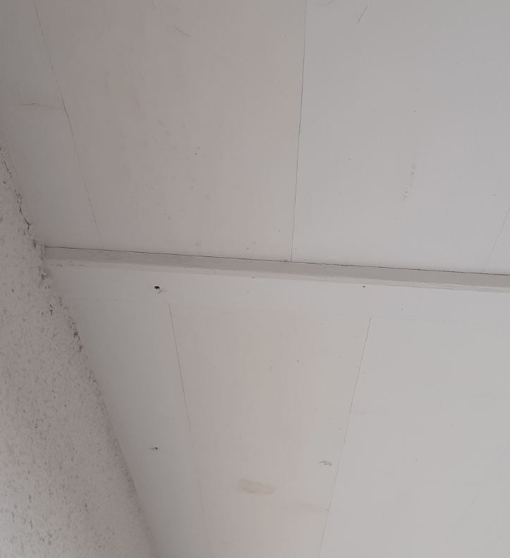 Bild zum BAU-Forumsbeitrag: Dachuntersichten verfärben sich, bitte um Hilfe bei Ursachenforschung im Forum Neubau