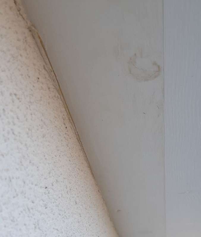 BAU.DE / BAU-Forum: 4. Bild zu Frage "Dachuntersichten verfärben sich, bitte um Hilfe bei Ursachenforschung" im BAU-Forum "Neubau" BAU.DE / BAU-Forum: 4. Bild zu Frage "Dachuntersichten verfärben sich, bitte um Hilfe bei Ursachenforschung" im BAU-Forum "Neubau"