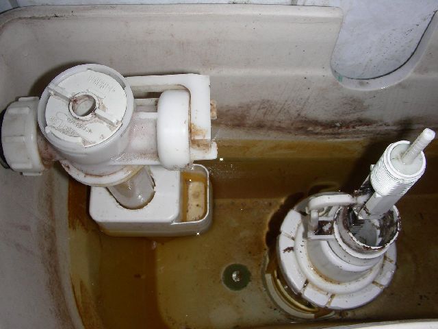 BAU.DE / BAU-Forum: 1. Bild zu Antwort "Halbe Lösung" auf die Frage "Spülkasten öffnen" im BAU-Forum "Sanitär, Bad, Dusche, WC"